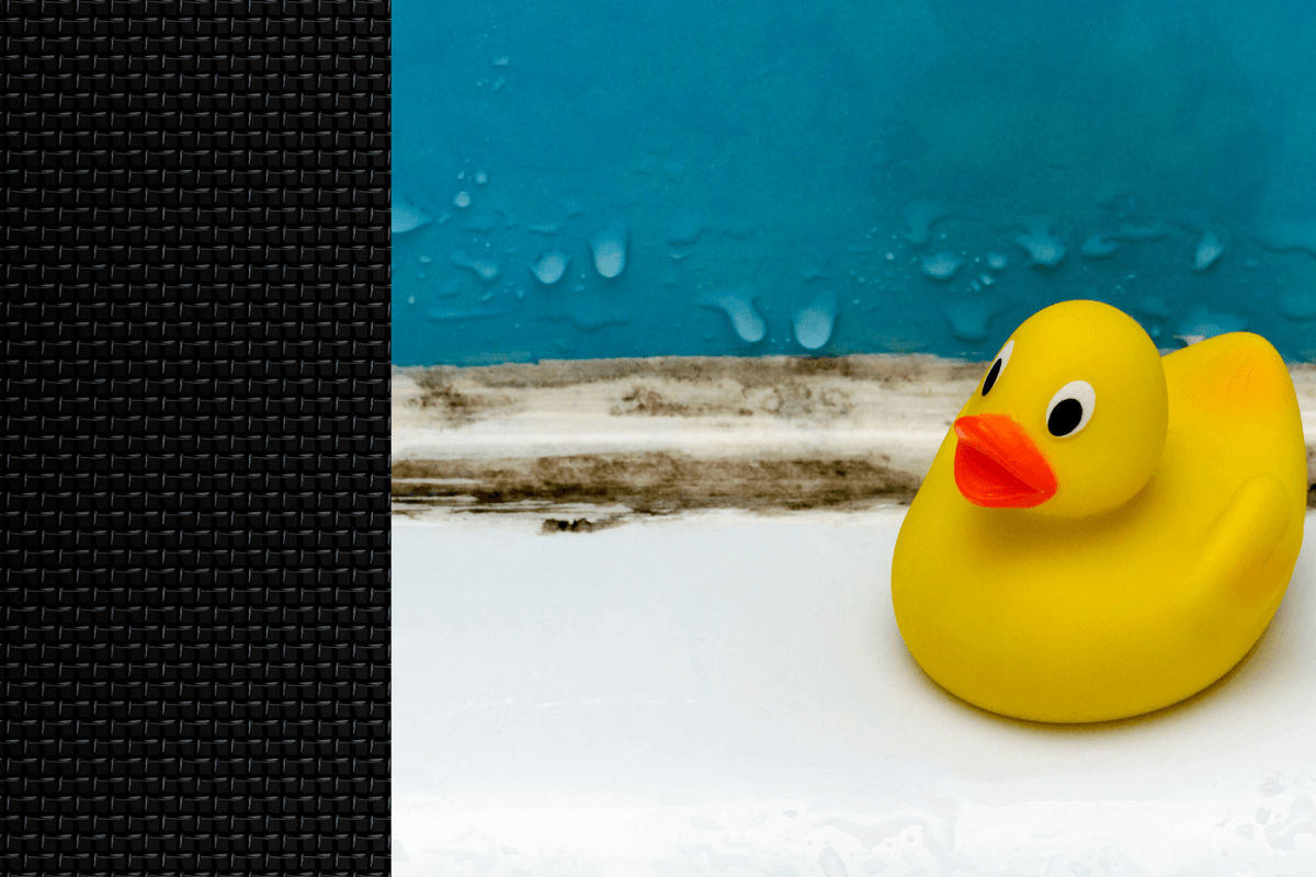 How to Prevent Mould
