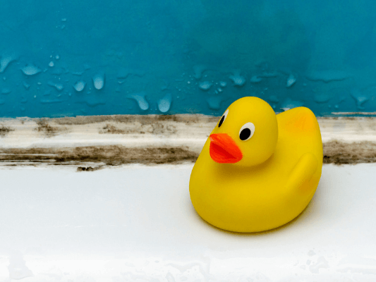 How to Prevent Mould