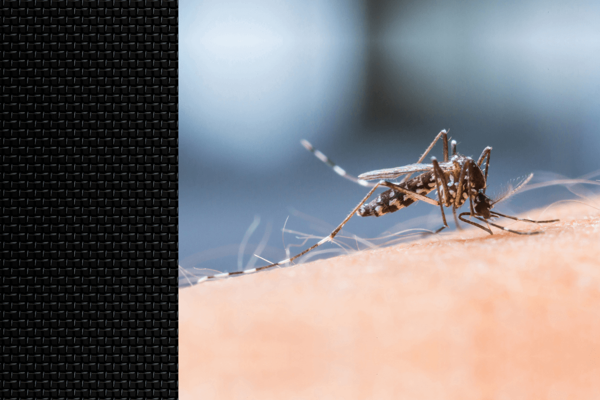 Keep bugs and critters out