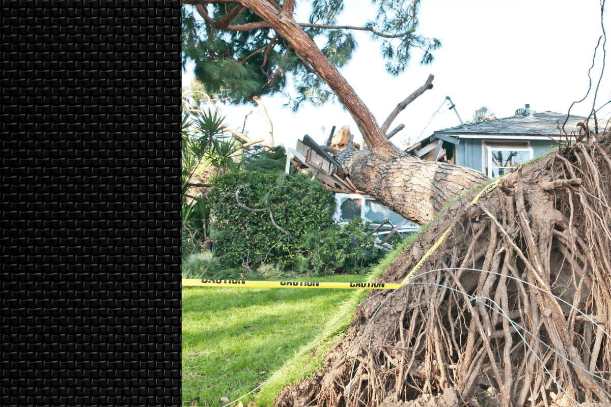 Household Resilience Program