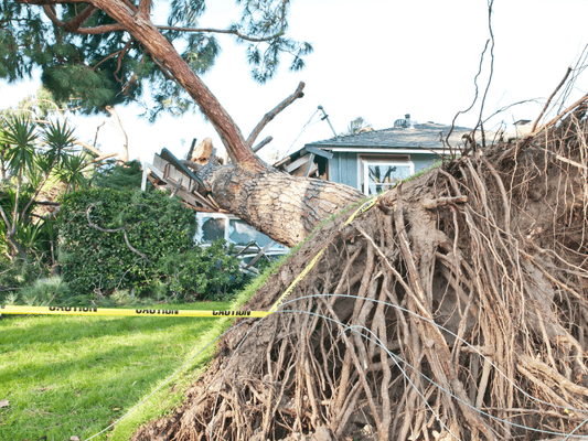 Household Resilience Program